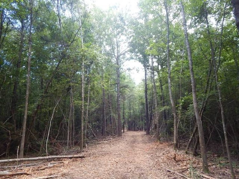 Cousan Rd, Loranger, LA 70446