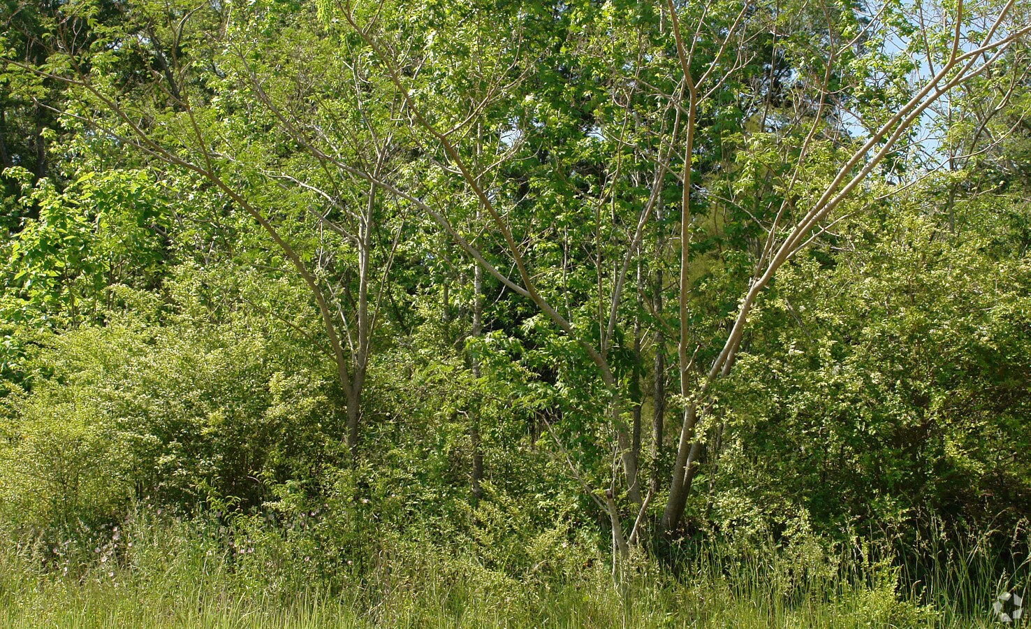 2470 Clements Rd, Cottondale, AL 35453