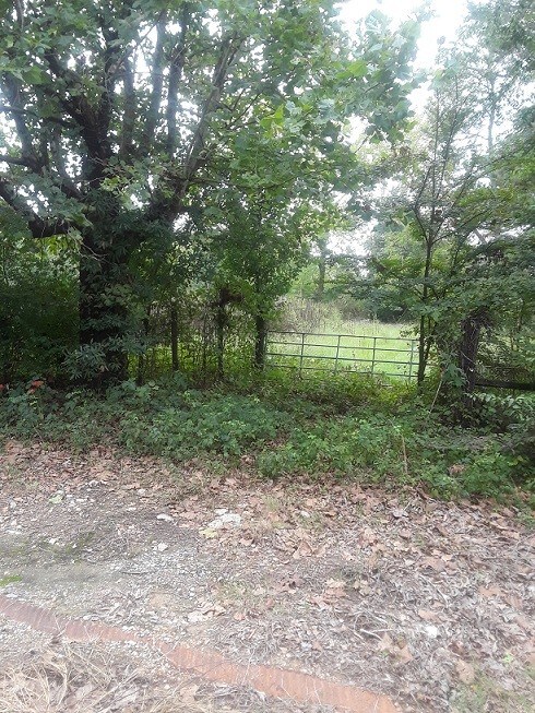 0 Woolworth Rd, Keithville, LA for sale Other- Image 1 of 1