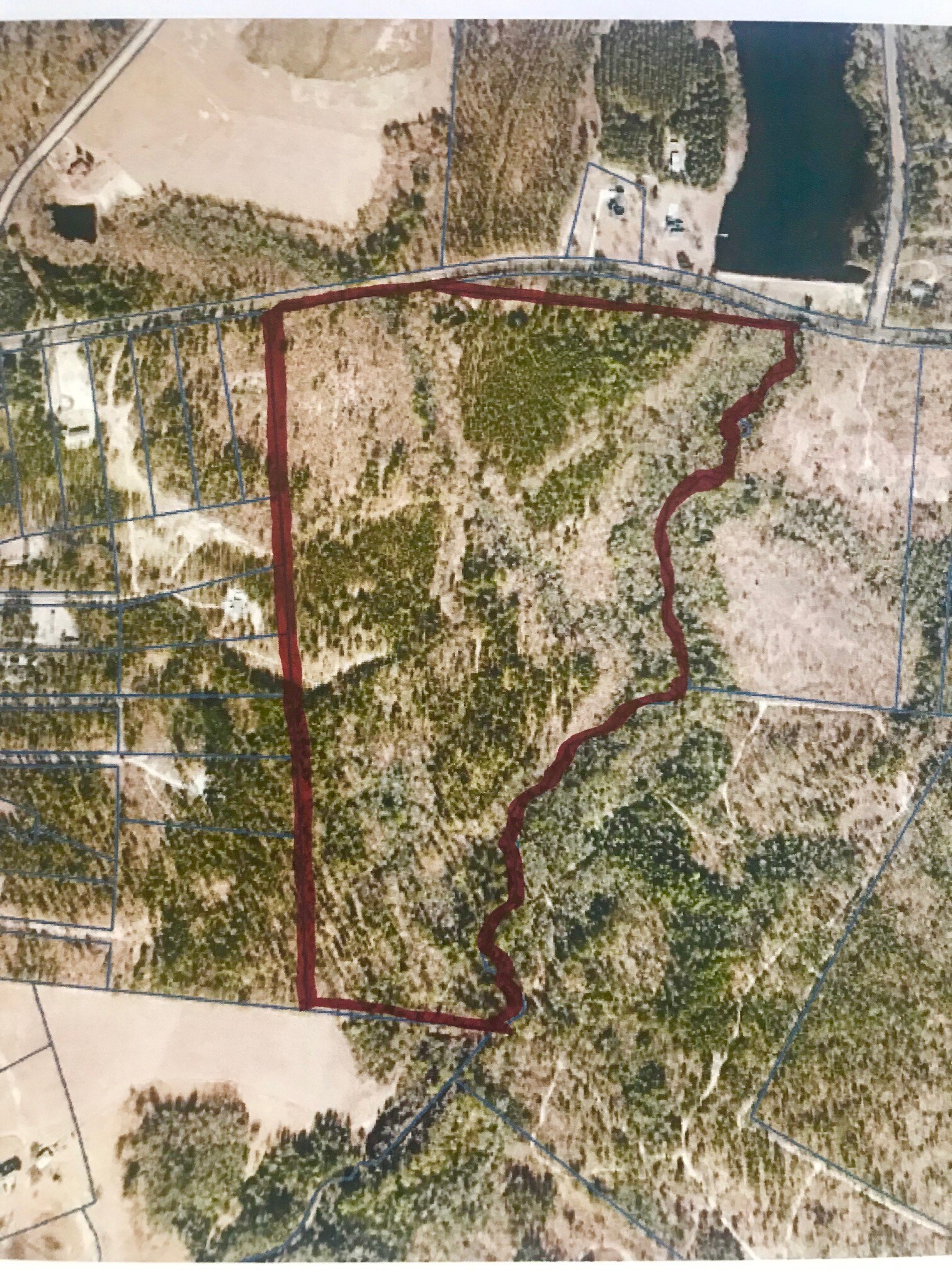 Thor Rd, Pelion, SC for sale Primary Photo- Image 1 of 1