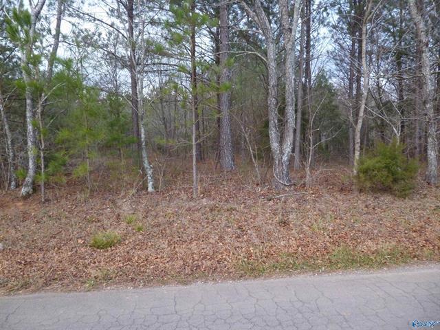 5900 Martin Ave NE, Fort Payne, AL for sale - Other - Image 2 of 9