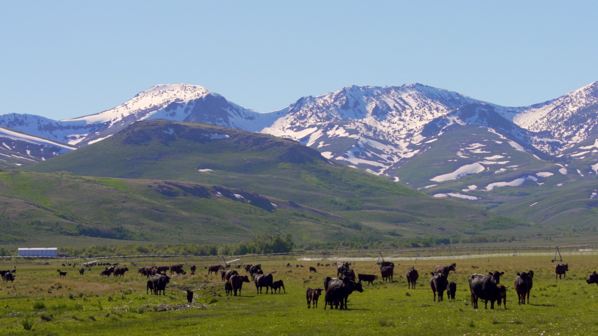 0 Highway 225, Elko, NV for sale Primary Photo- Image 1 of 1