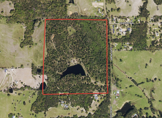 More details for 1394 County Road 4810, Ben Wheeler, TX - Land for Sale