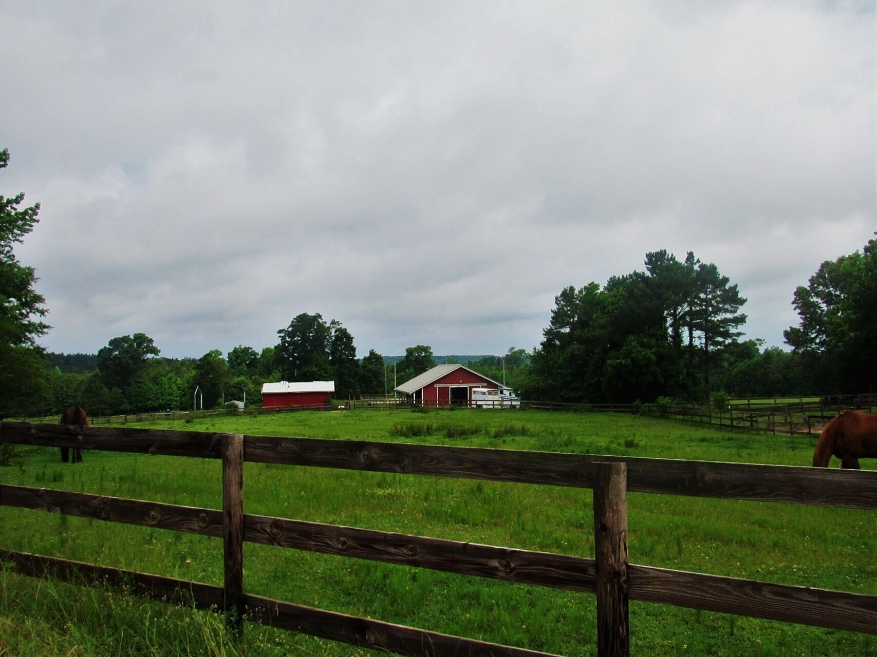 2541 Moss Ledford Rd, Franklinton, NC for sale Primary Photo- Image 1 of 1