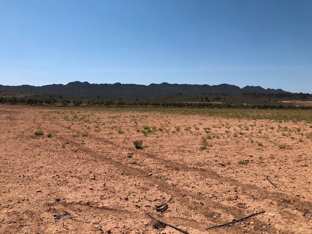 Land in MURCIA for sale - Building Photo - Image 3 of 4