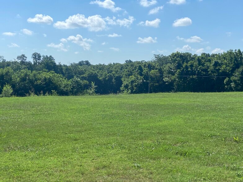 310 Gulf Street, Walnut Grove, MO for sale - Other - Image 3 of 4