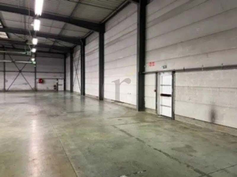 Industrial in Lesquin for lease Interior Photo- Image 1 of 8