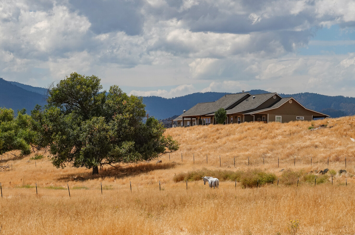 1704 Gregory Mountain Rd, Montague, CA 96064 | LoopNet