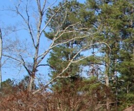 TEST LISTING, Buford, GA for sale Building Photo- Image 1 of 1