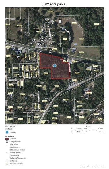 State Route 40, Astor, FL for sale - Primary Photo - Image 1 of 1