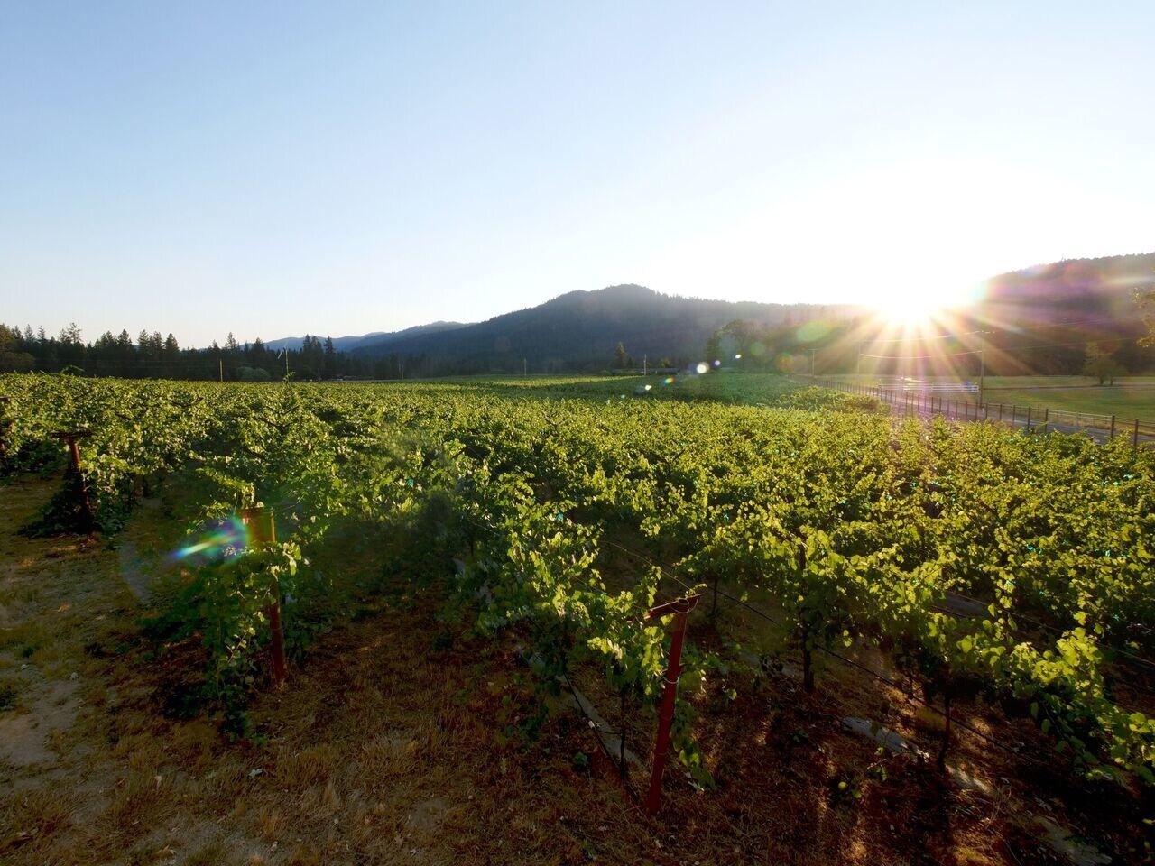 175 Quail Ln, Grants Pass, OR for sale Other- Image 1 of 1