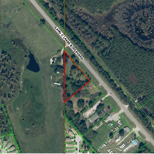 10251 Land O Lakes Blvd, Land O Lakes, FL for lease - Other - Image 2 of 4