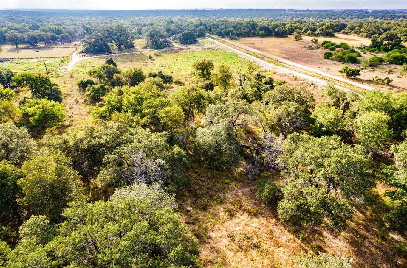 24460 Mathis Rd, Elmendorf, TX 78112 Land for Sale