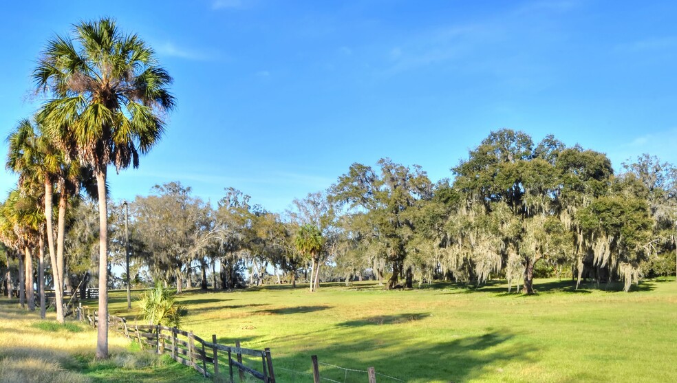 8418 Lupton Place pl, Plant City, FL for sale - Primary Photo - Image 3 of 14