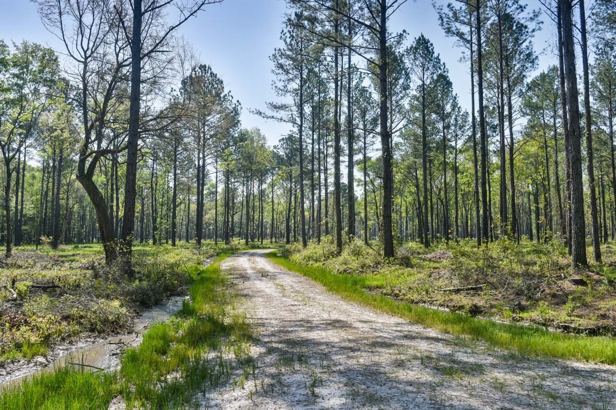0 Salkehatchie Road, Early Branch, SC 29916 Salkehatchie Woods