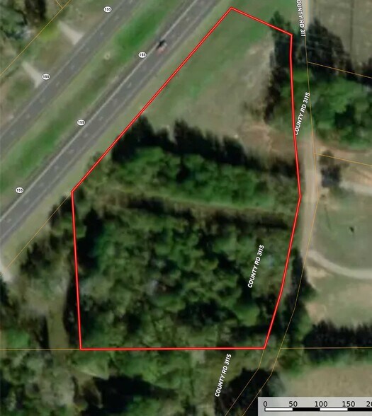 St Hwy 155, Frankston, TX 75763 4.33Acres on State Hwy 155, Frankston