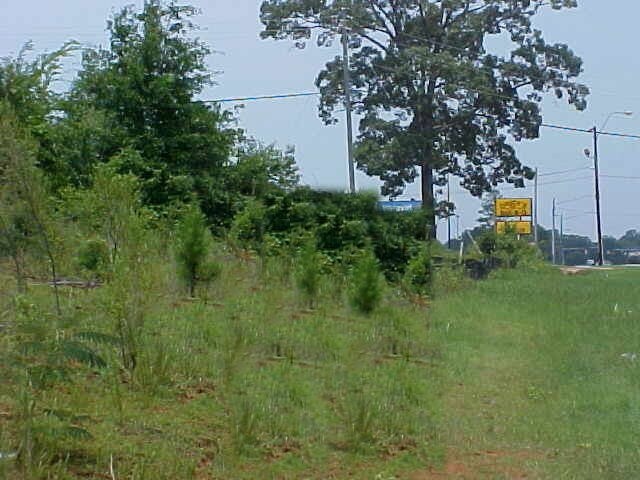 3611 Hwy 29 Ave, Valley, AL for sale - Primary Photo - Image 1 of 1