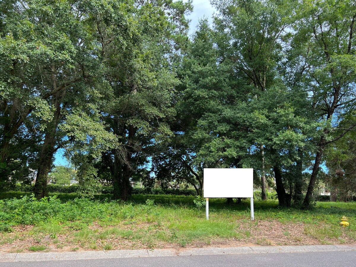 View Photo
