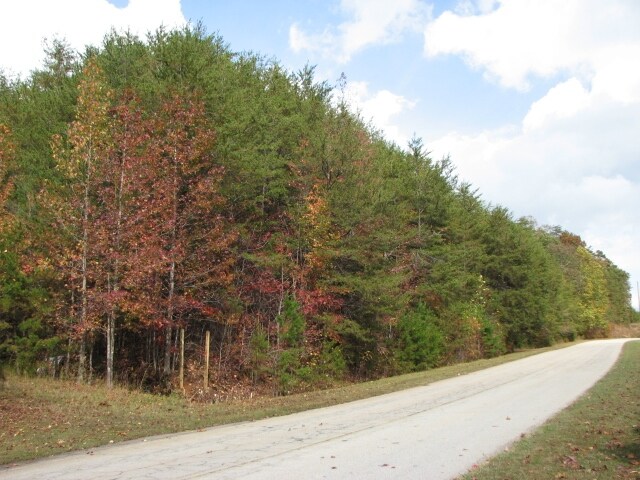 0 Torrington Rd, Dahlonega, GA for sale - Primary Photo - Image 1 of 2