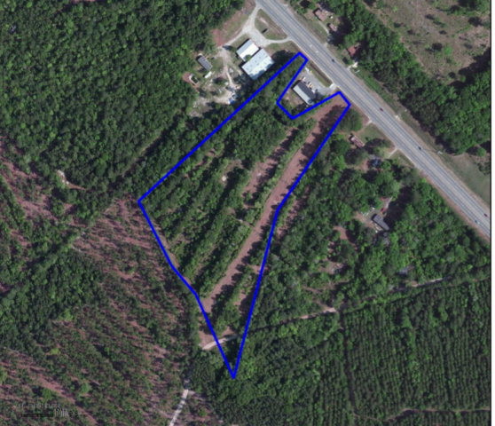 84 Hwy, Flemington, GA for sale - Other - Image 2 of 2