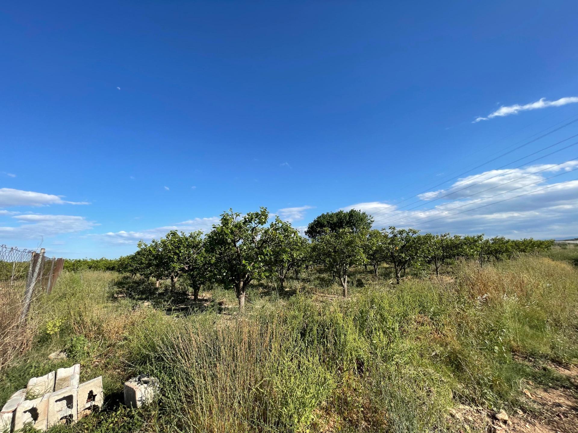 Land in València, Valencia for sale Building Photo- Image 1 of 5