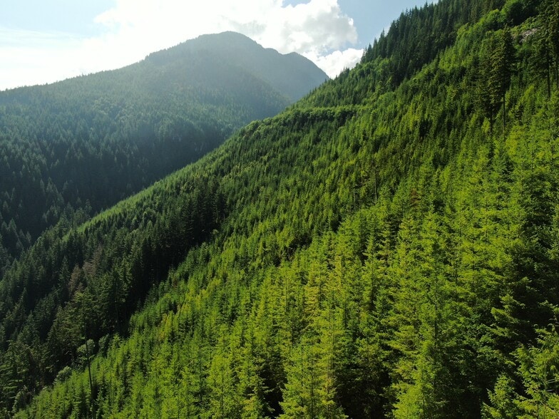 XX Finney Cumberland Road, Sedro Woolley, WA for sale - Building Photo - Image 3 of 13