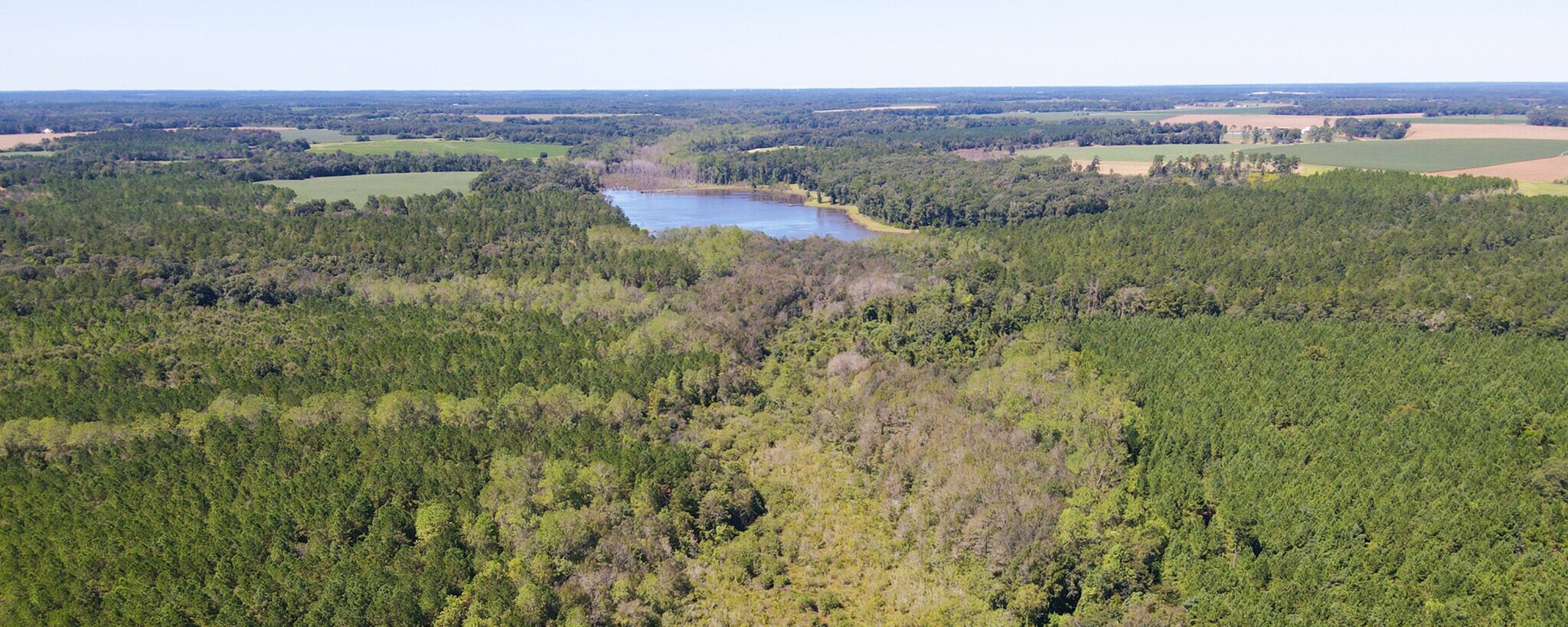 County Rd 94, Cuthbert, GA for sale Building Photo- Image 1 of 1