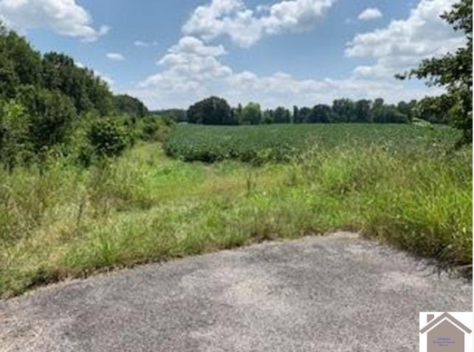 8445 Old Highway 60 West, West Paducah, KY for sale - Other - Image 2 of 5