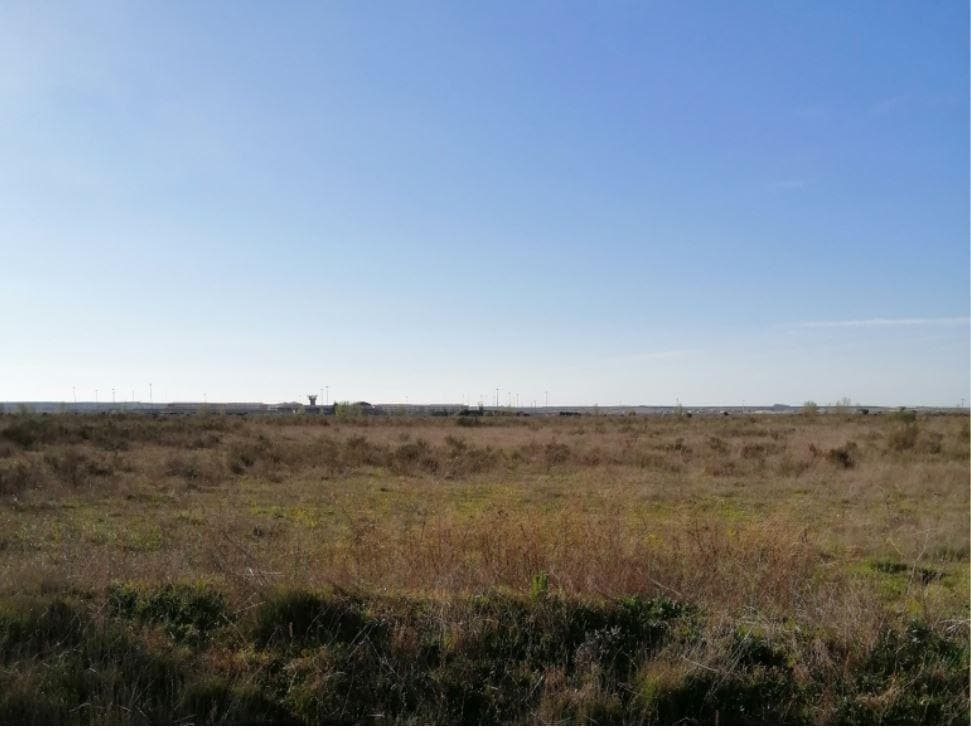 Industrial in Mansilla de las Mulas for sale Building Photo- Image 1 of 6