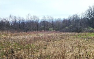 More details for 38 McCartney Rd, Campbell, OH - Industrial for Sale