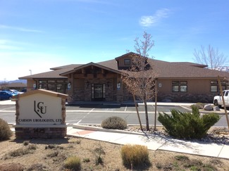 More details for 1425 Vista Ln, Carson City, NV - Office for Sale