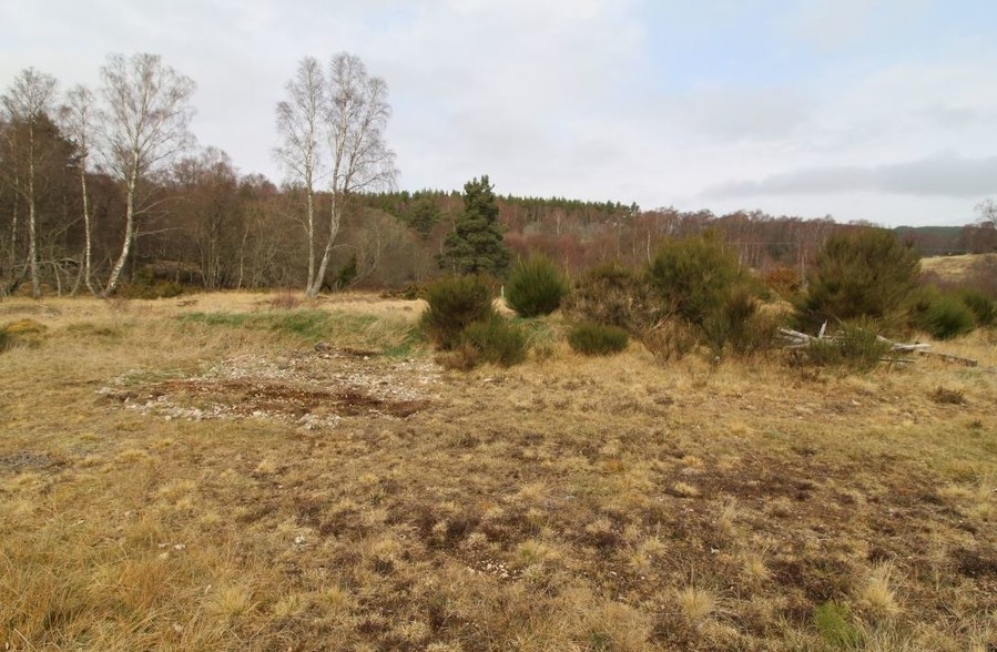 Drumuillie, Boat Of Garten for sale - Primary Photo - Image 1 of 1