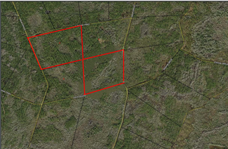 More details for Owa Pass, Crawfordville, FL - Land for Sale