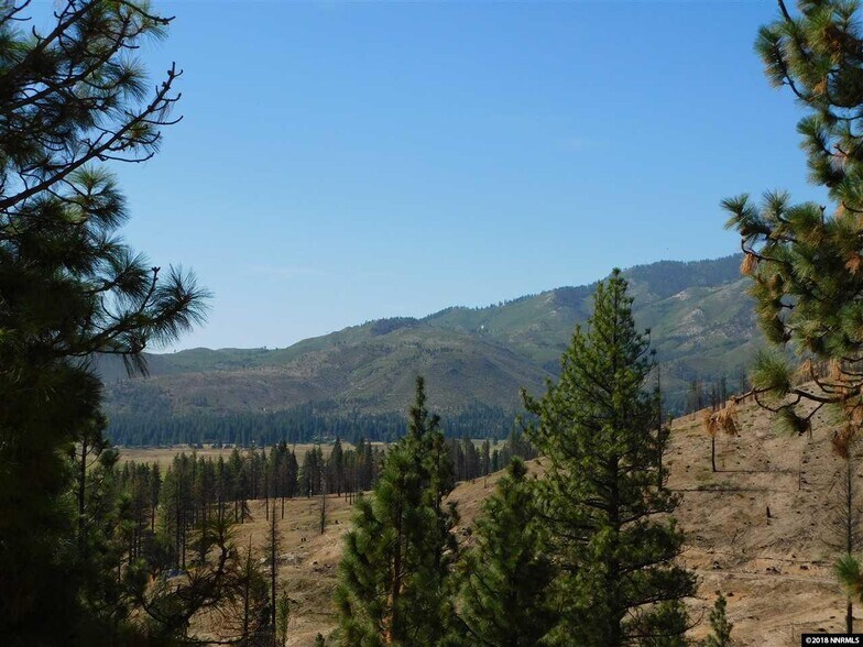 2255 J S Bar Ranch, Washoe Valley, NV 89704