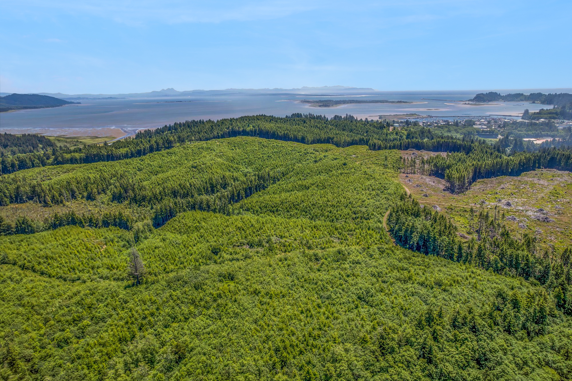 1000 Williams St, Ilwaco, WA for sale Aerial- Image 1 of 10