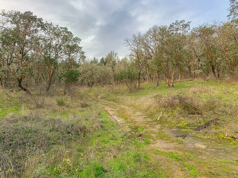 0 Magnolia, Sutherlin, OR for sale - Primary Photo - Image 1 of 1