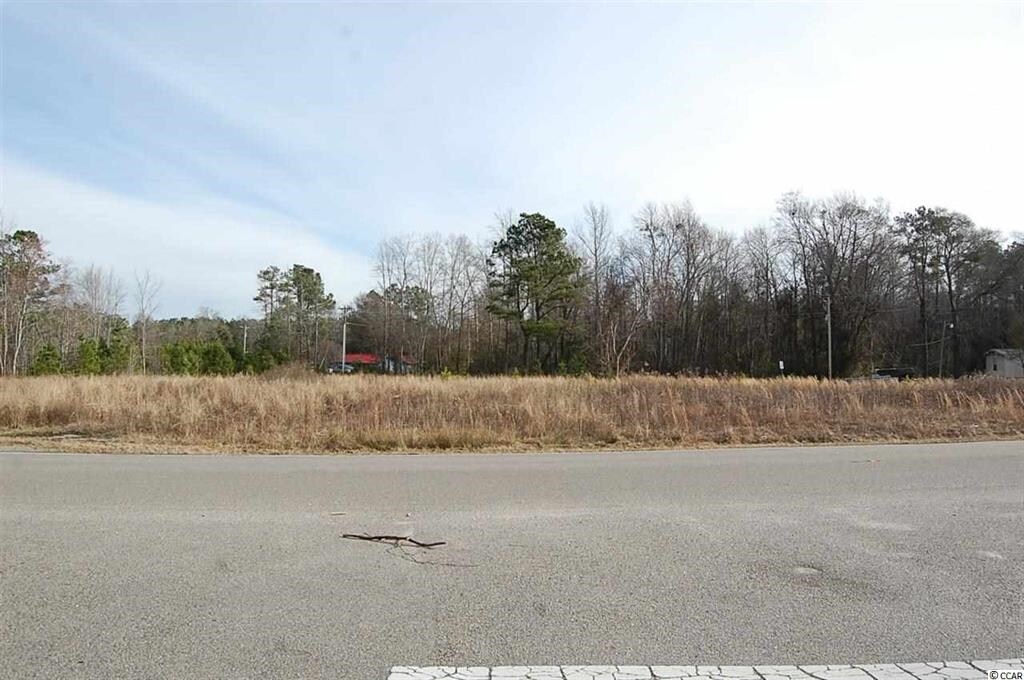 2600 Red Bluff Rd, Loris, SC 29569