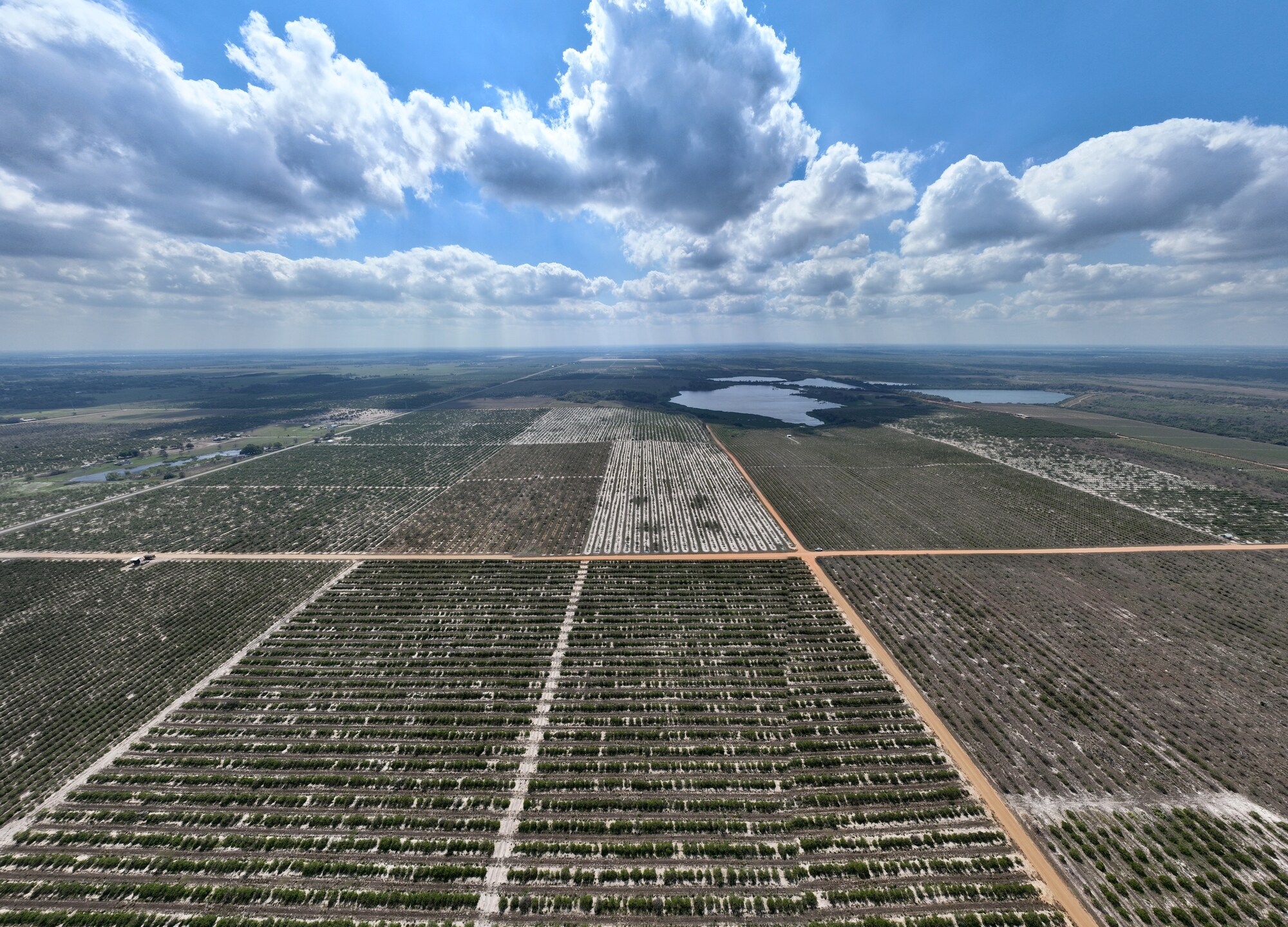 Albritton Road, Bartow, FL 33830 Sand Lake Grove