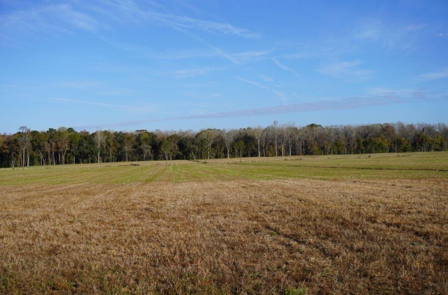 2066 Rackity Hall Rd, Wadmalaw Island, SC 29487 Land for Sale