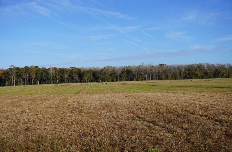2066 Rackity Hall Rd, Wadmalaw Island, SC 29487 Land for Sale