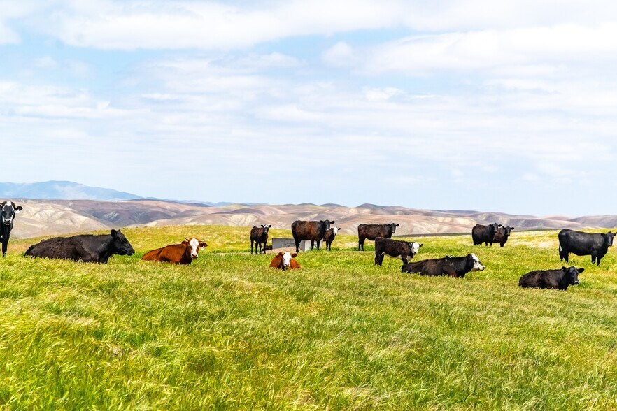 8050 Bitterwater Rd, Shandon, CA for sale - Building Photo - Image 1 of 28