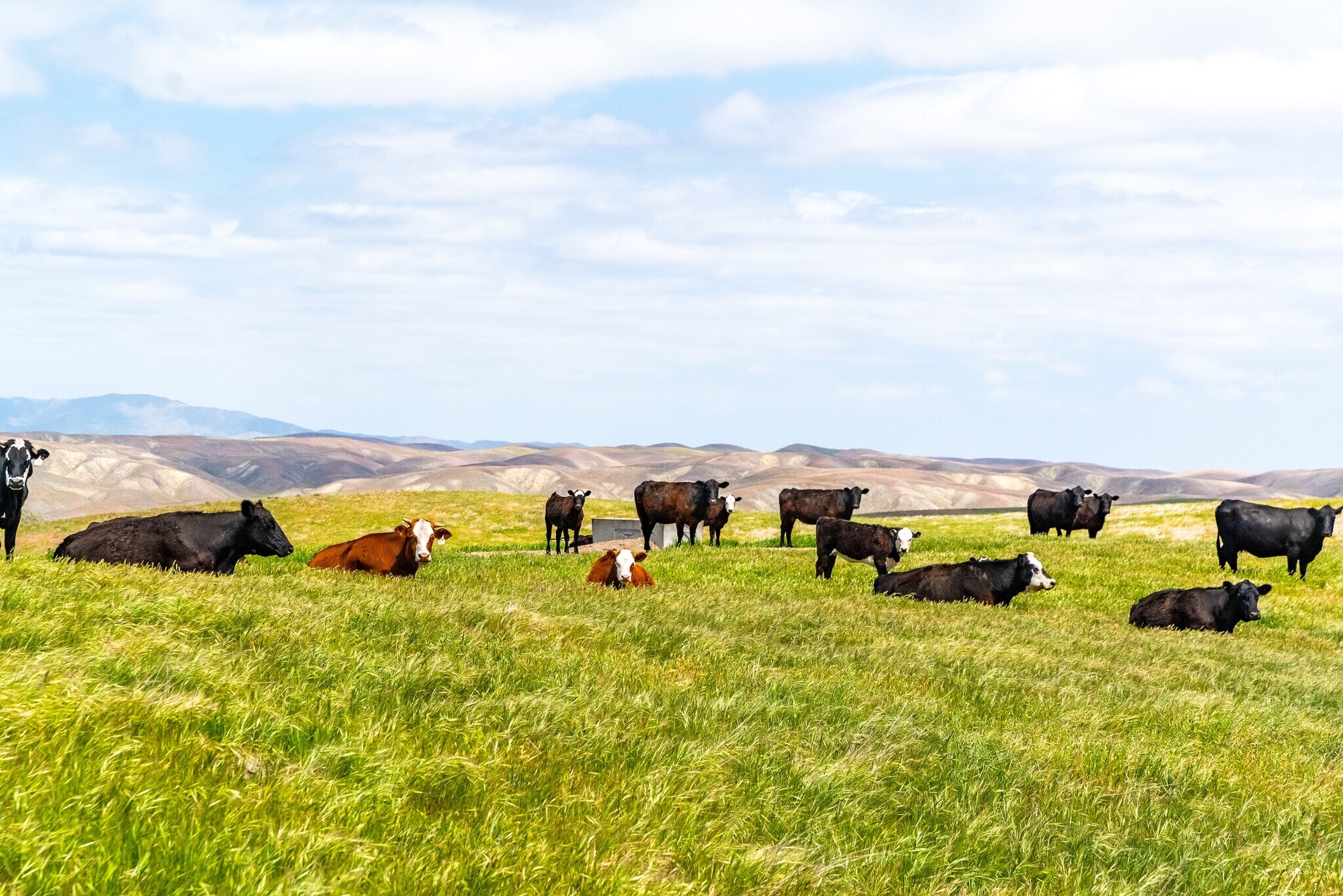 8050 Bitterwater Rd, Shandon, CA for sale Building Photo- Image 1 of 29
