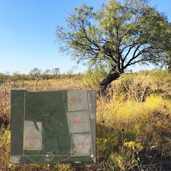 1401 Lake Rd, Woodson, TX for sale - Building Photo - Image 1 of 1