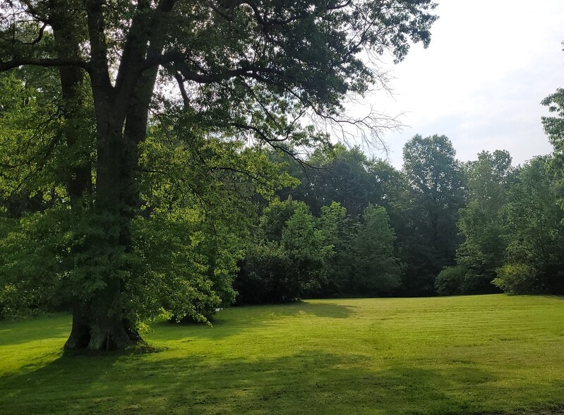 9531 and 9567 Market St, North Lima, OH portfolio of 2 properties for sale on LoopNet.com - Other - Image 3 of 8