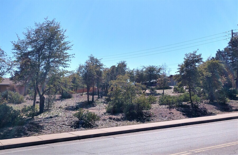 201 W Longhorn Rd, Payson, AZ for sale - Building Photo - Image 3 of 14