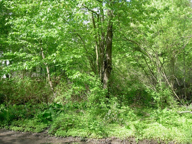 3930 Perkins, Waterford, MI for sale - Building Photo - Image 2 of 6