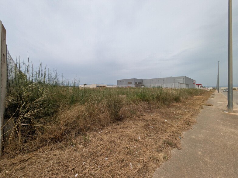 Land in Amposta, Tarragona for sale - Primary Photo - Image 1 of 1