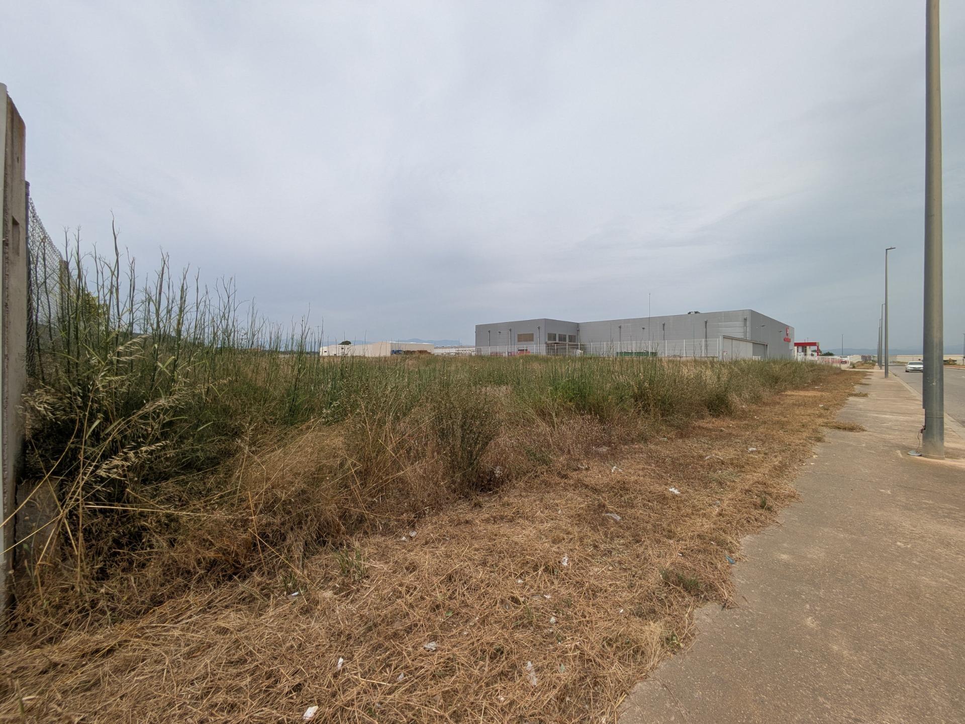 Land in Amposta, Tarragona for sale Primary Photo- Image 1 of 1