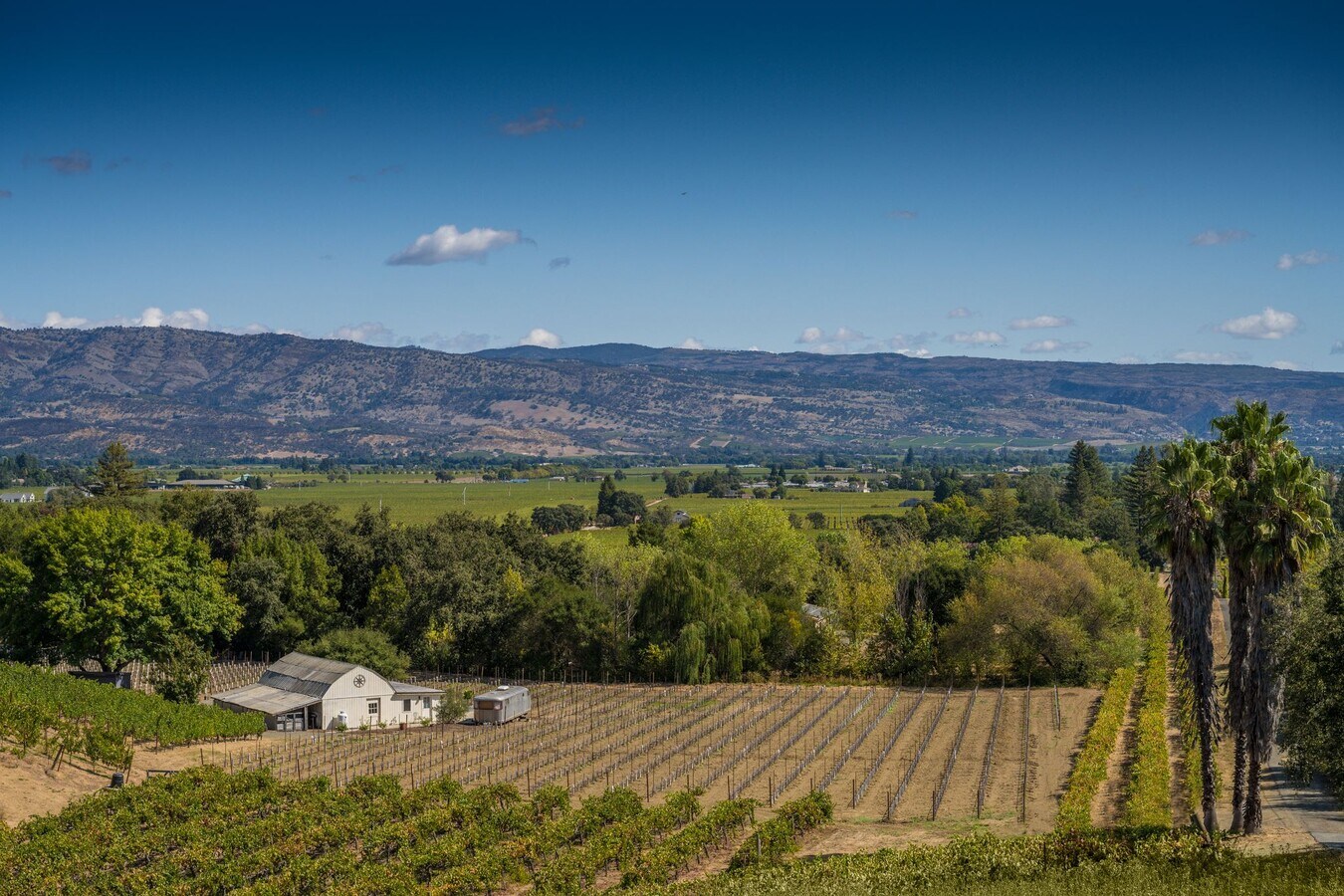 3315 Dry Creek Rd, Napa, CA 94558