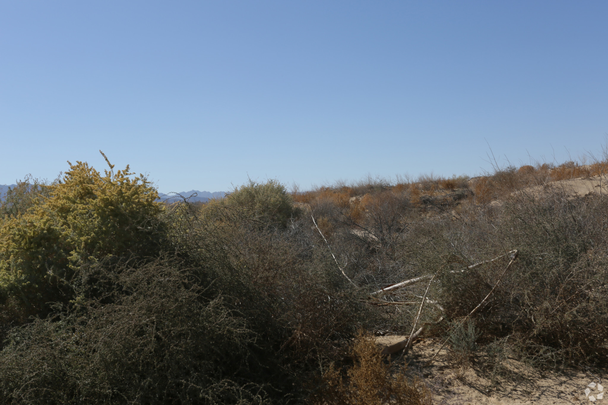 Desert Knoll Ave, Twentynine Palms, CA for sale Primary Photo- Image 1 of 1